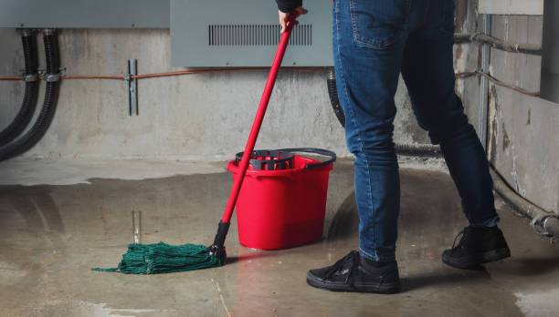 Best Sewage cleanup and water damage restoration  in USA